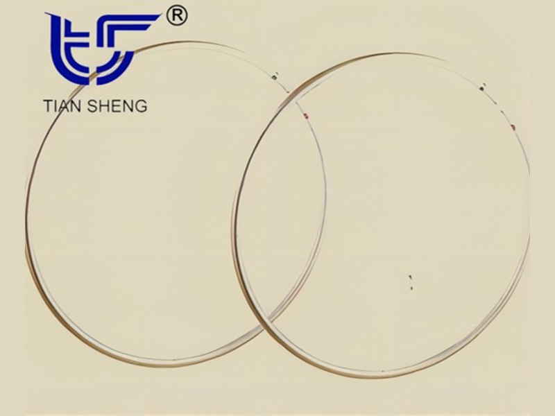 TS G91金属0形密封环