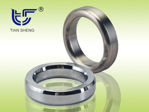 TS G8金属环形垫