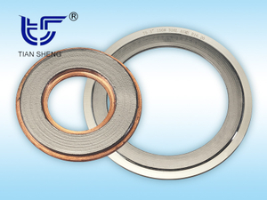 TS G2 具有覆盖层的齿形金属垫片