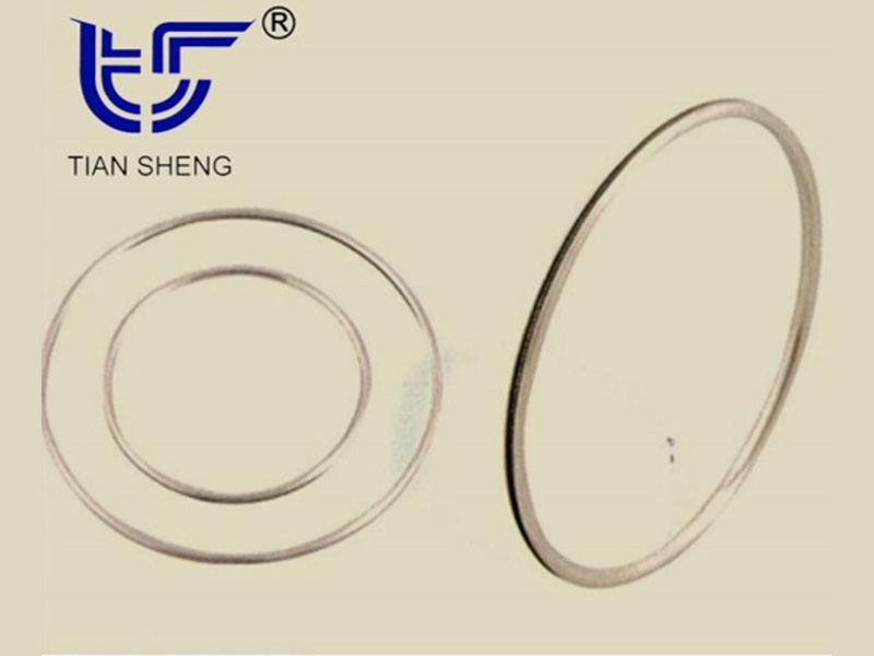 TS G90金属C形密封环