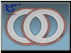 TS G5 聚四氟乙烯包覆垫片