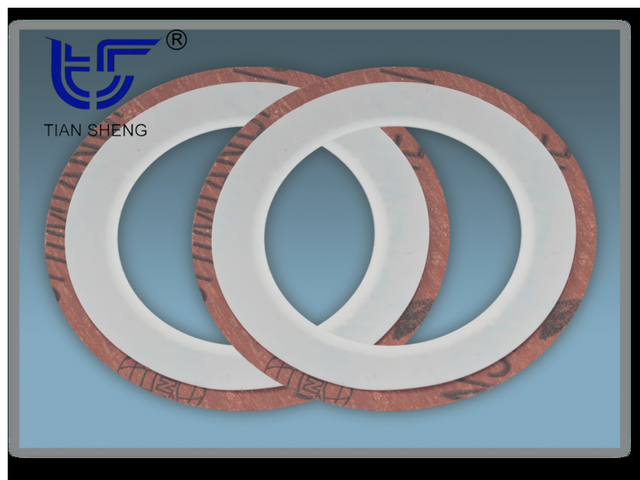 TS G5 聚四氟乙烯包覆垫片