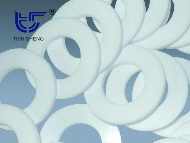 TS G6321 聚四氟乙烯垫片