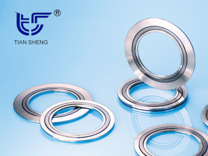 TS N8101(SELEX®)金属石墨垫片