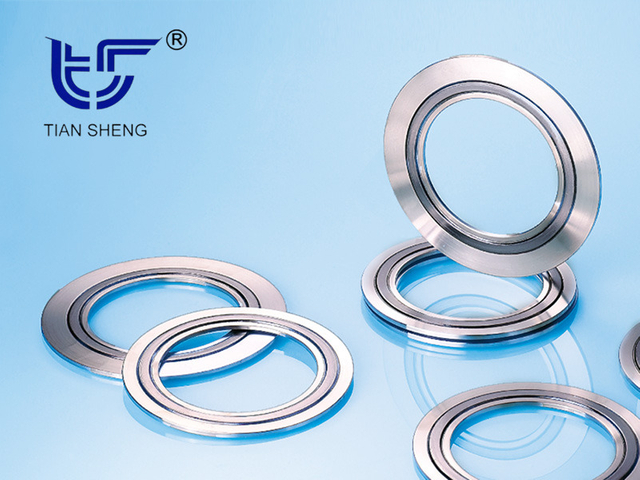 TS N8101(SELEX®)金属石墨垫片