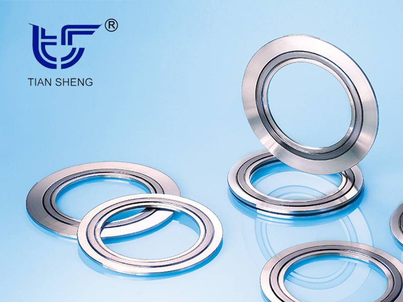 TS N8101(SELEX®)金属石墨垫片